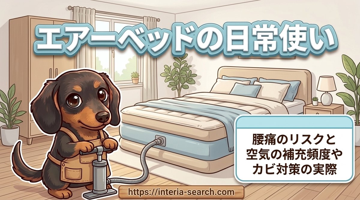 【エアーベッドの日常使い】腰痛のリスクと空気の補充頻度やカビ対策の実際